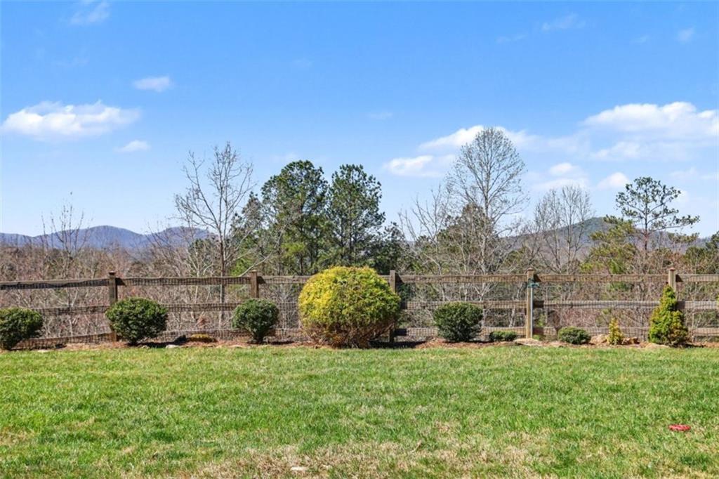 899 Ridge Pointe Way Blairsville, GA 30512 - Photo 61 of 88 a view of a backyard
