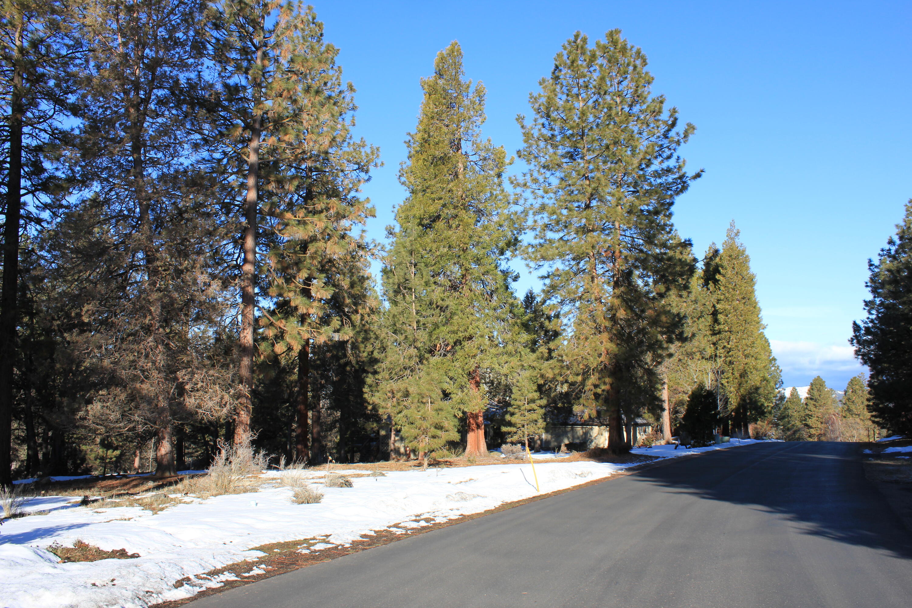 Lot 165 Kestrel Road Klamath Falls, OR 97601 - Photo 21 of 28 From center far right across vacant lot
