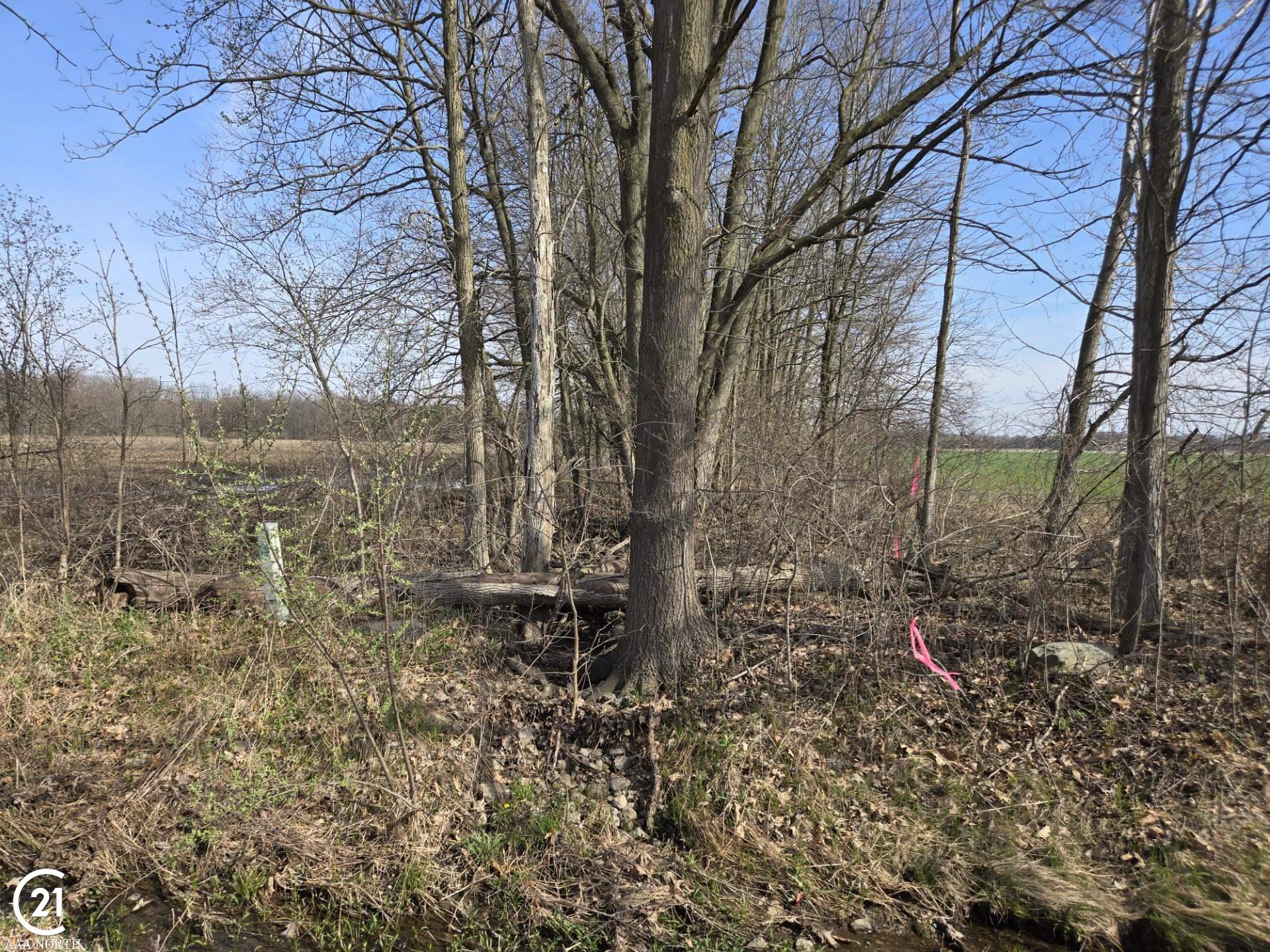 0 Meskill (lot D) Road Columbus, MI 48063 - Photo 6 of 15