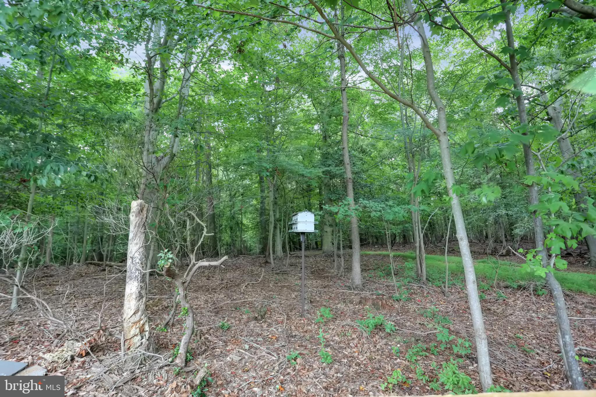 3307 Pouska Road Abingdon, MD 21009 - Photo 45 of 53 Gallery Image 45