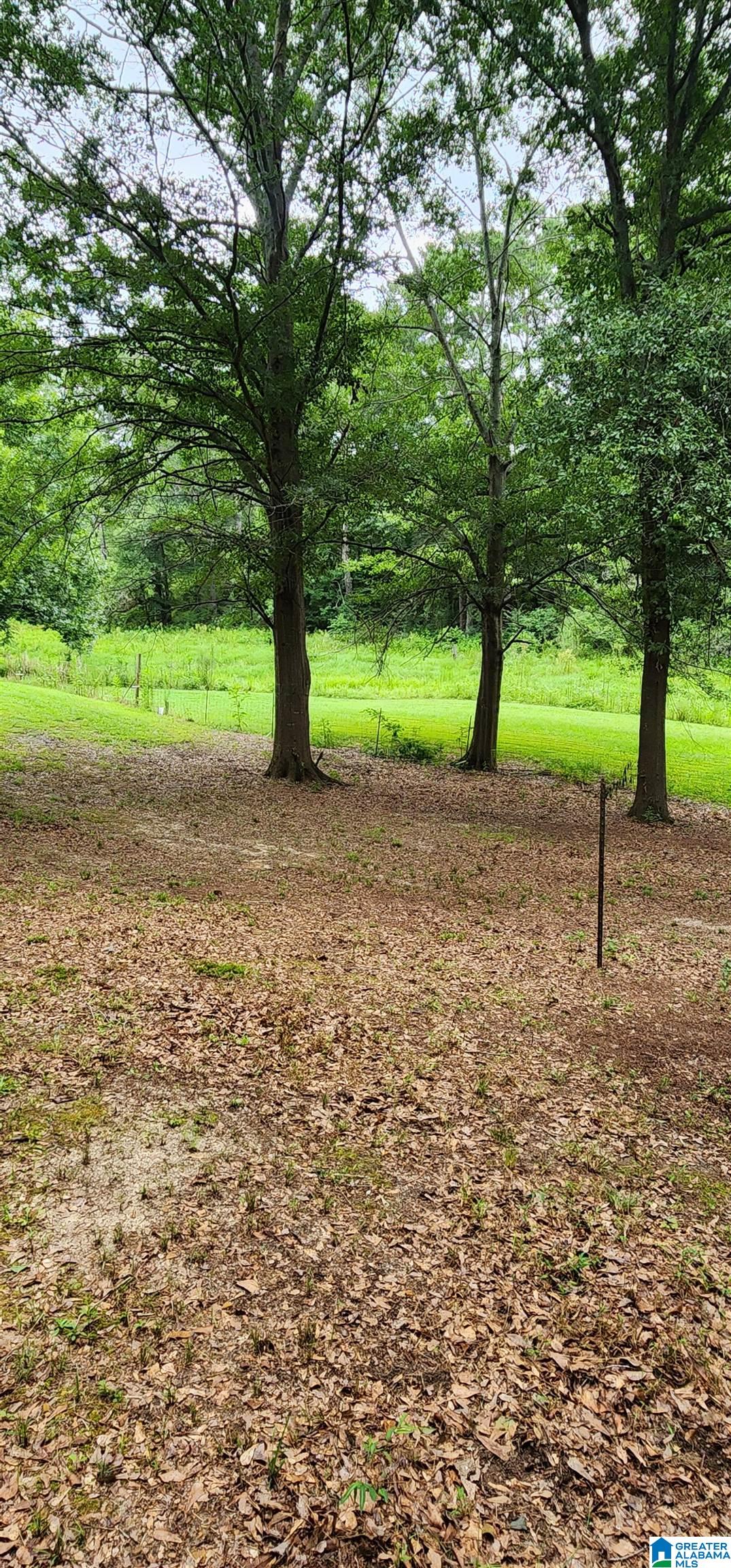 368 Dodd Road Altoona, AL 35952 - Photo 45 of 54