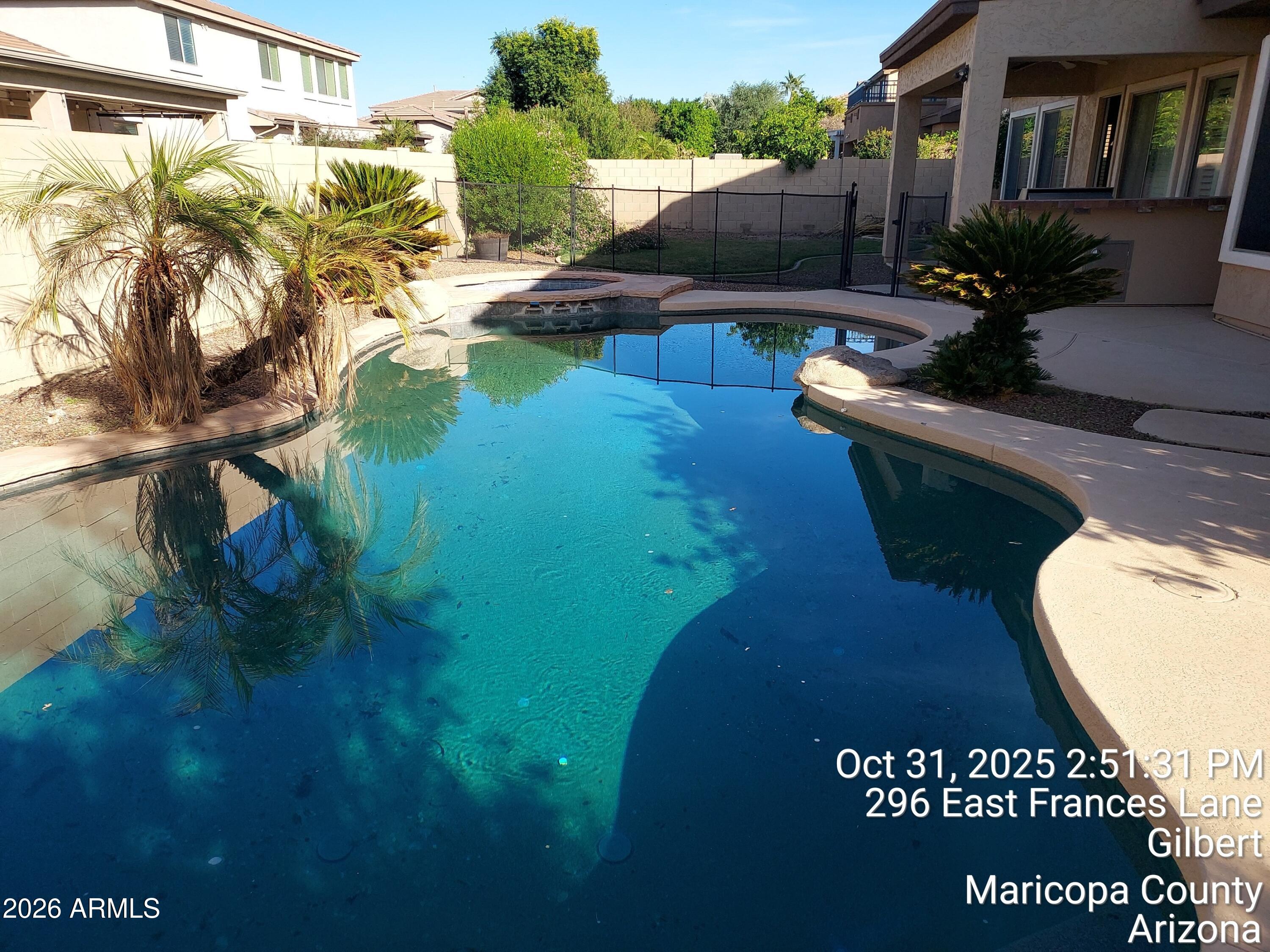 296 East Frances Lane Gilbert, AZ 85295 - Photo 6 of 9 Backyard-05(pool and spa)