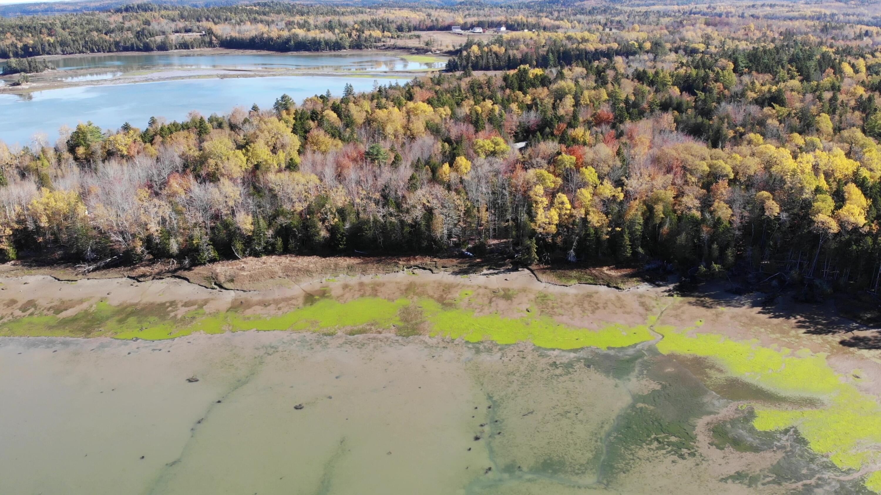 35 Coffins Neck Road Lubec, ME 04652 - Photo 52 of 58 DJI_0112 - frame at 3m36s