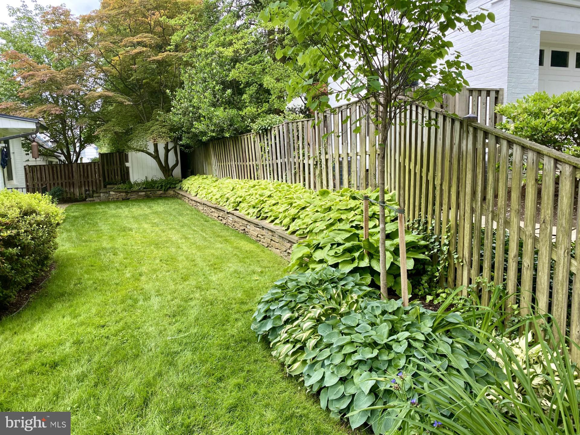 7501 Glendale Road Chevy Chase, MD 20815 - Photo 38 of 43 Fenced backyard