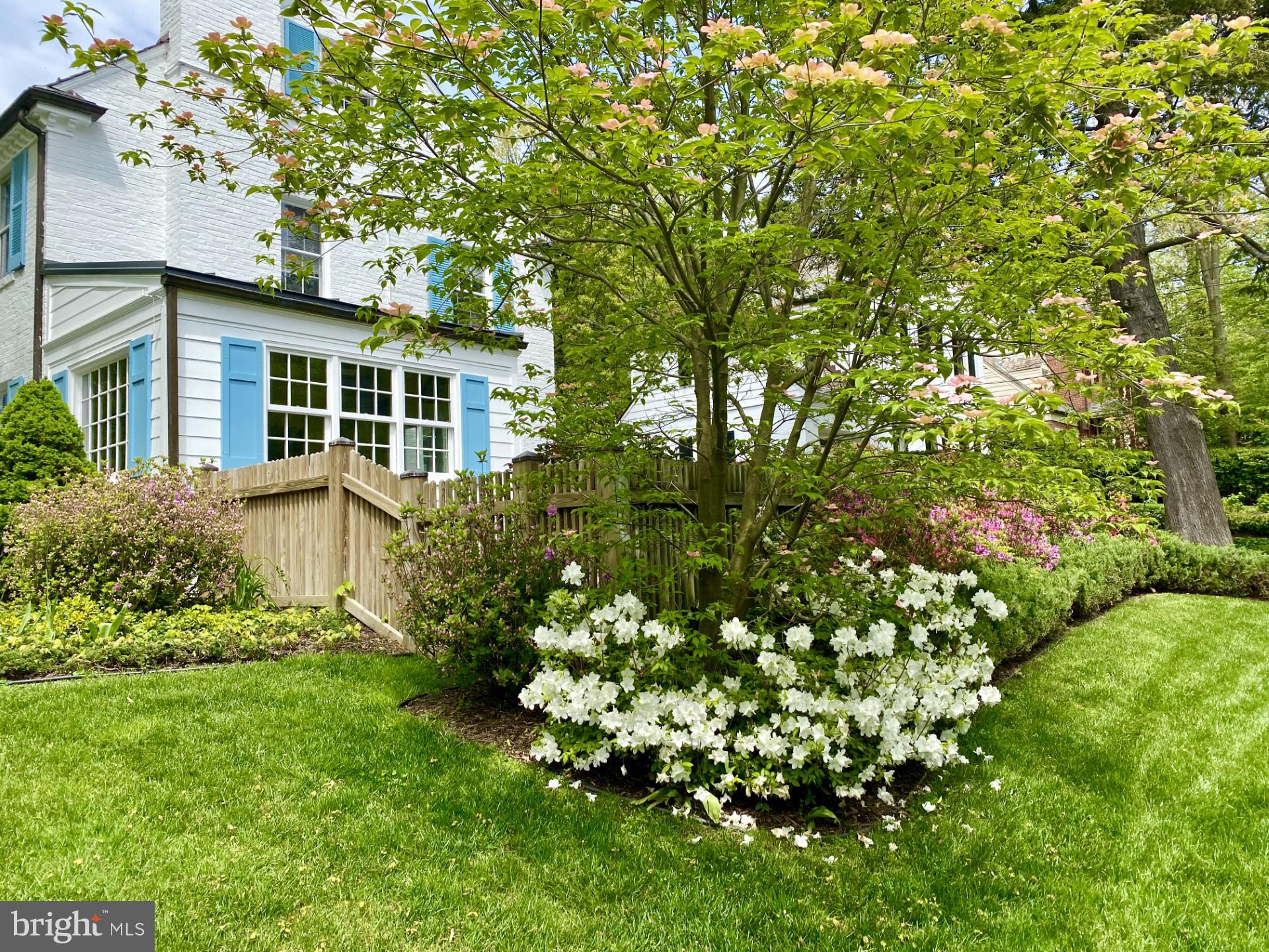 7501 Glendale Road Chevy Chase, MD 20815 - Photo 39 of 43 Garden with mature plantings