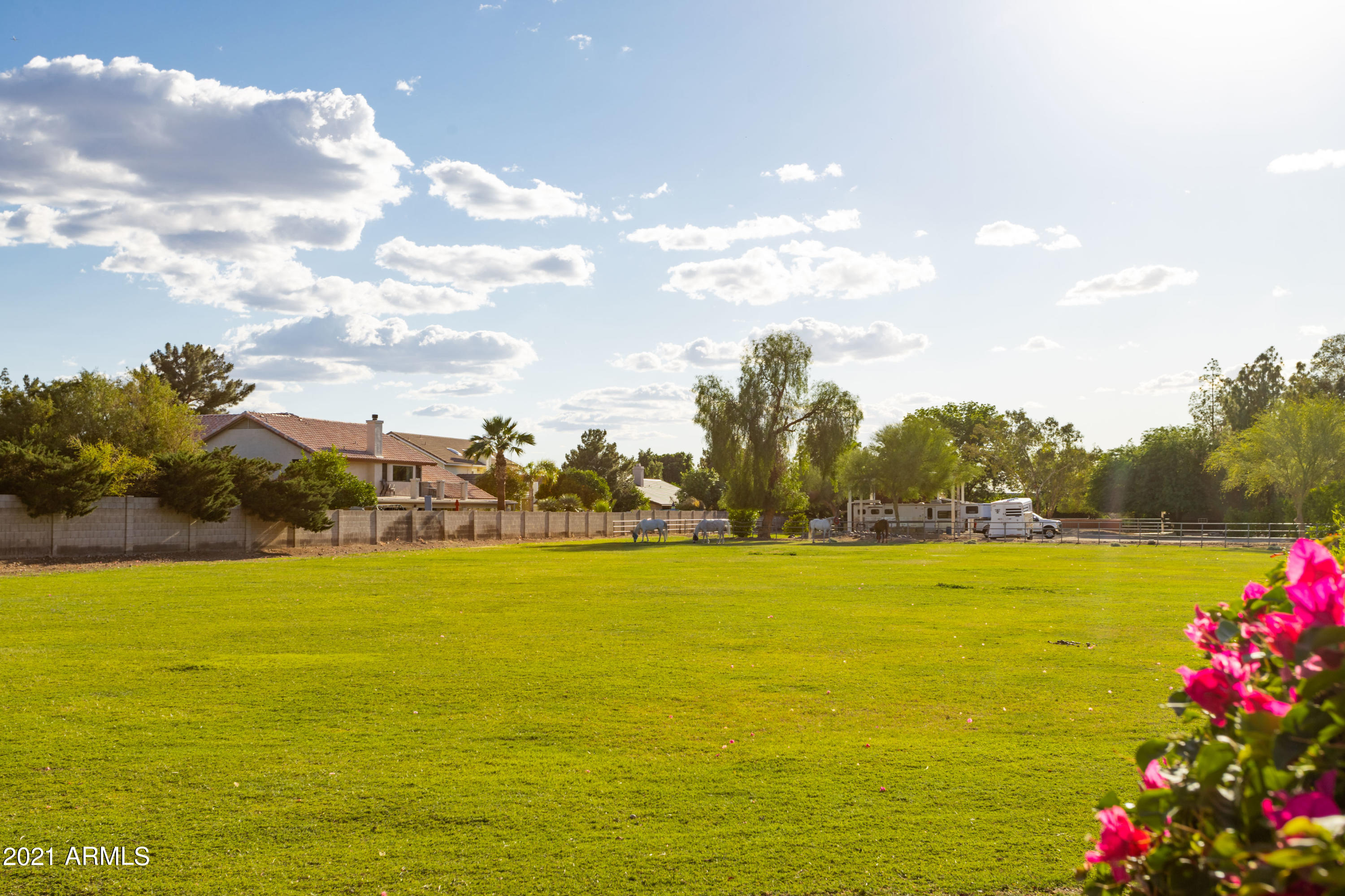 2550 N Ridge Mesa, AZ 85203 - Photo 52 of 53 Front Pasture