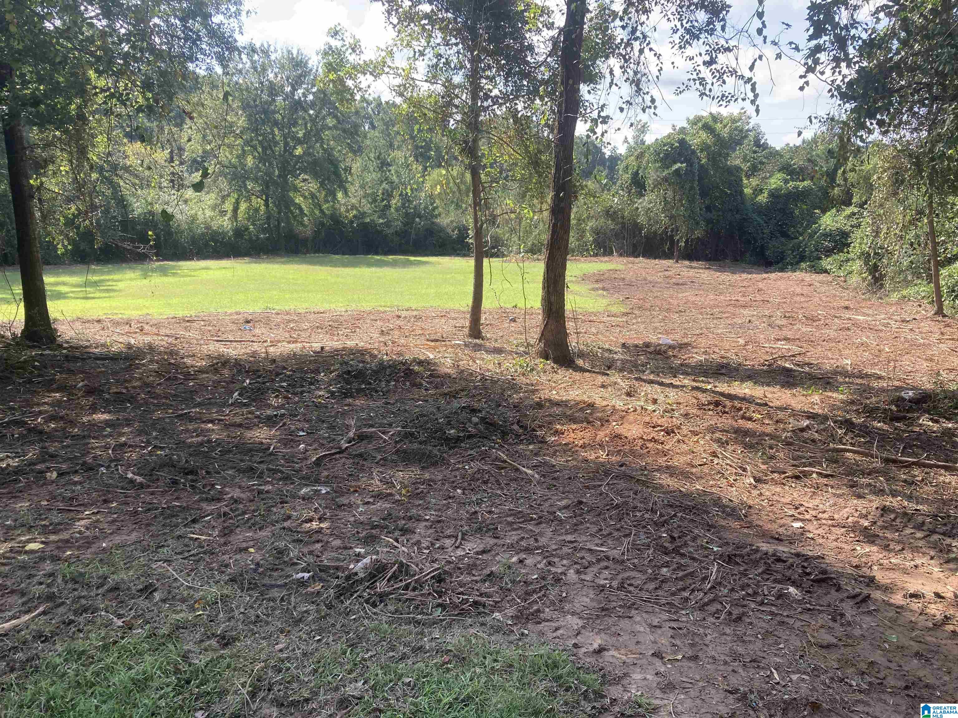 9271 Old Highway 280 Chelsea, AL 35043 - Photo 13 of 13