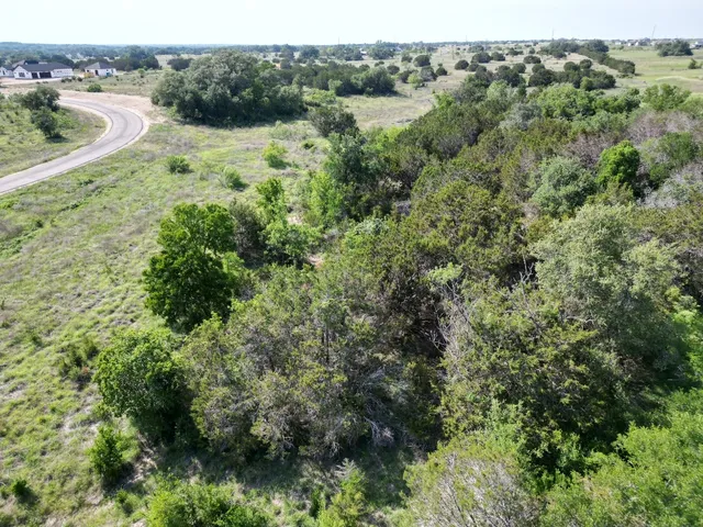a view of a forest with a street