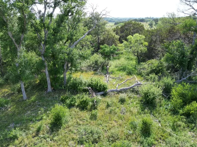 an aerial view of residential house with green space