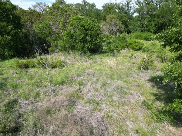 a view of a lush green forest with large trees