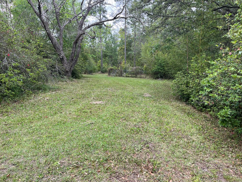 609 Lakegrove Road Wewahitchka, FL 32465 - Photo 13 of 39 Gallery Image 13