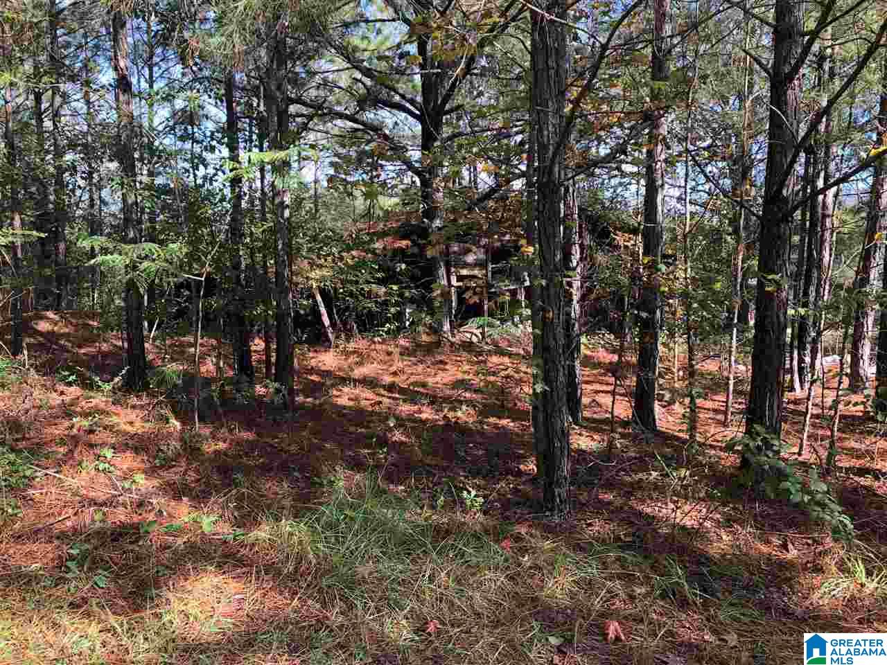 980 Turner Road, Unit ADJOINING PARCELS Anniston, AL 36201 - Photo 13 of 17
