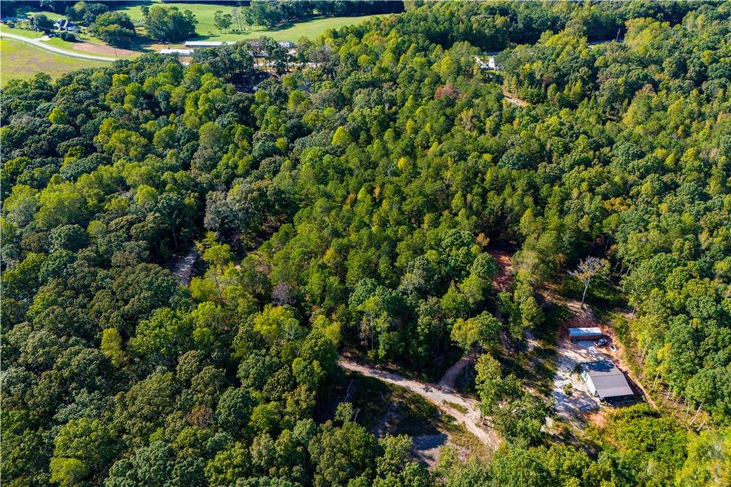 1620 Cross Plains Hulett Road Carrollton, GA 30116 - Photo 4 of 7 a view of a lush green forest