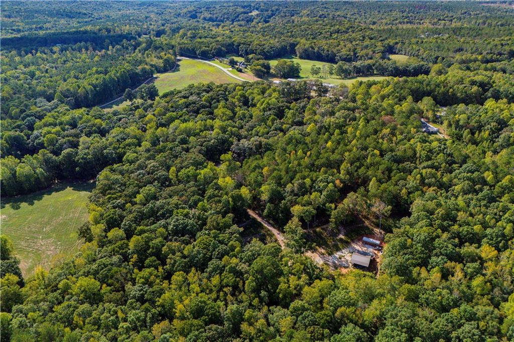 1620 Cross Plains Hulett Road Carrollton, GA 30116 - Photo 5 of 7 a view of a house with a lush green forest