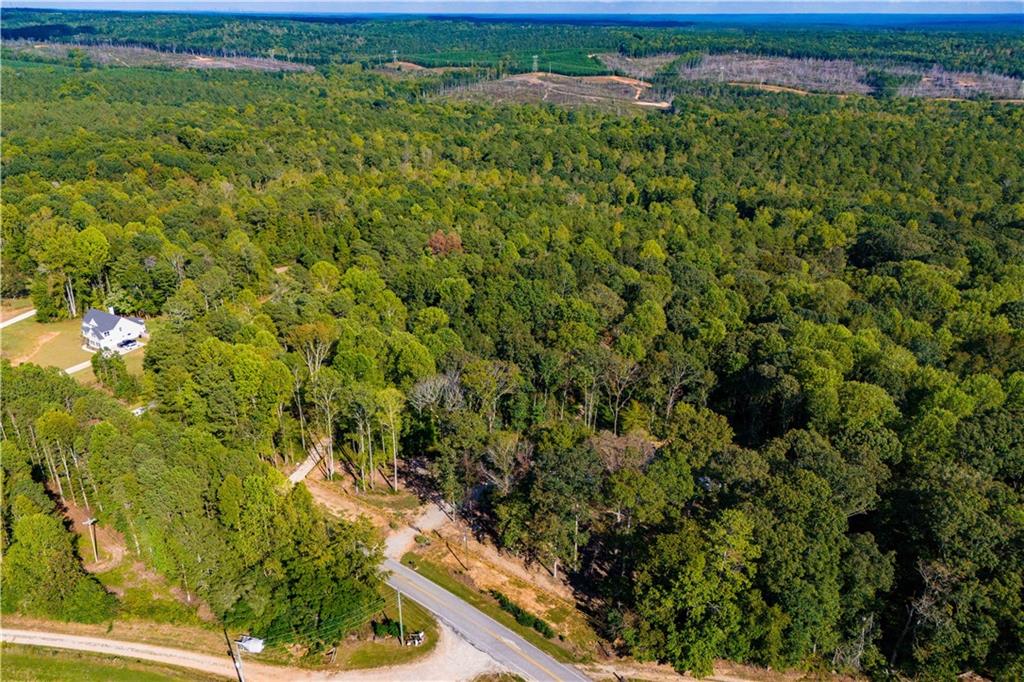 1620 Cross Plains Hulett Road Carrollton, GA 30116 - Photo 7 of 7 a view of a garden