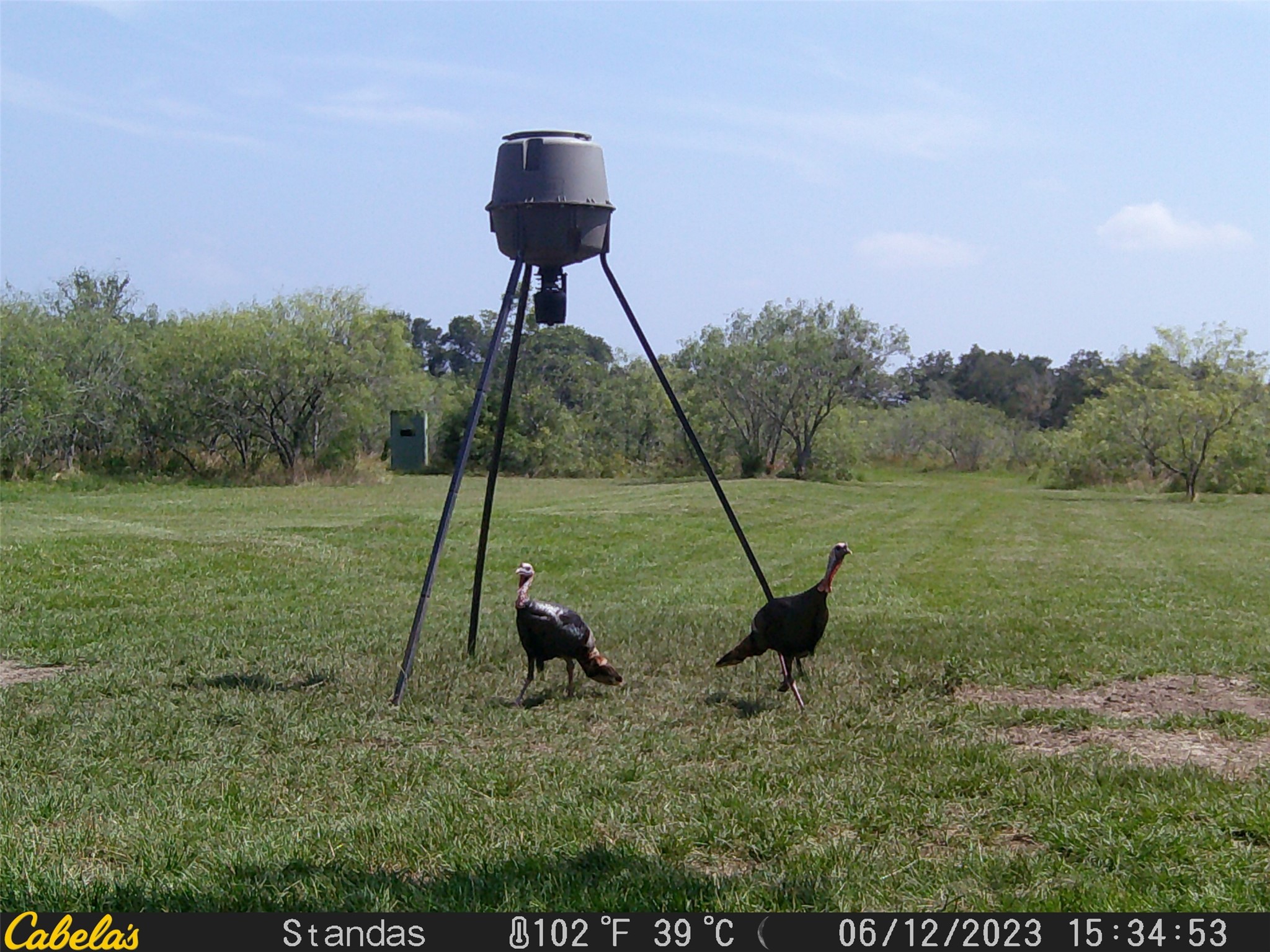 6289 Maynard Hallmark Road Flatonia, TX 78941 - Photo 18 of 19