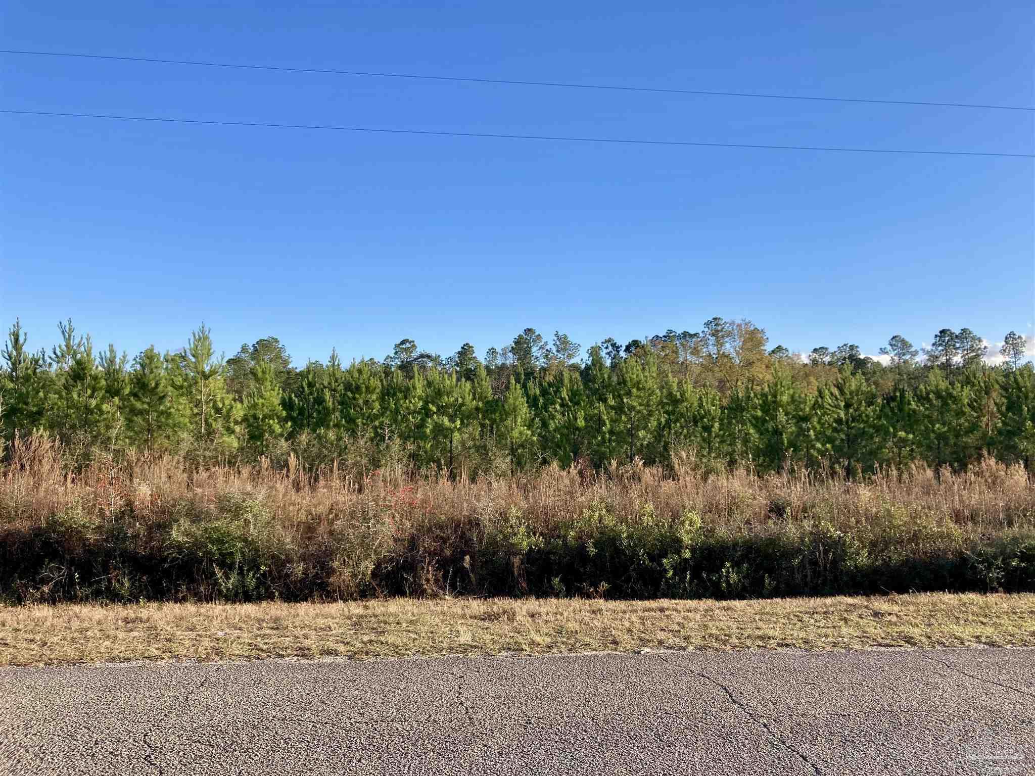Lot 15 Mineral Springs Road Jay, FL 32565 - Photo 2 of 6 a view of a yard