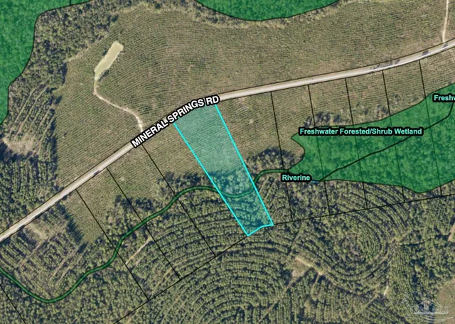 a bird view of a garden