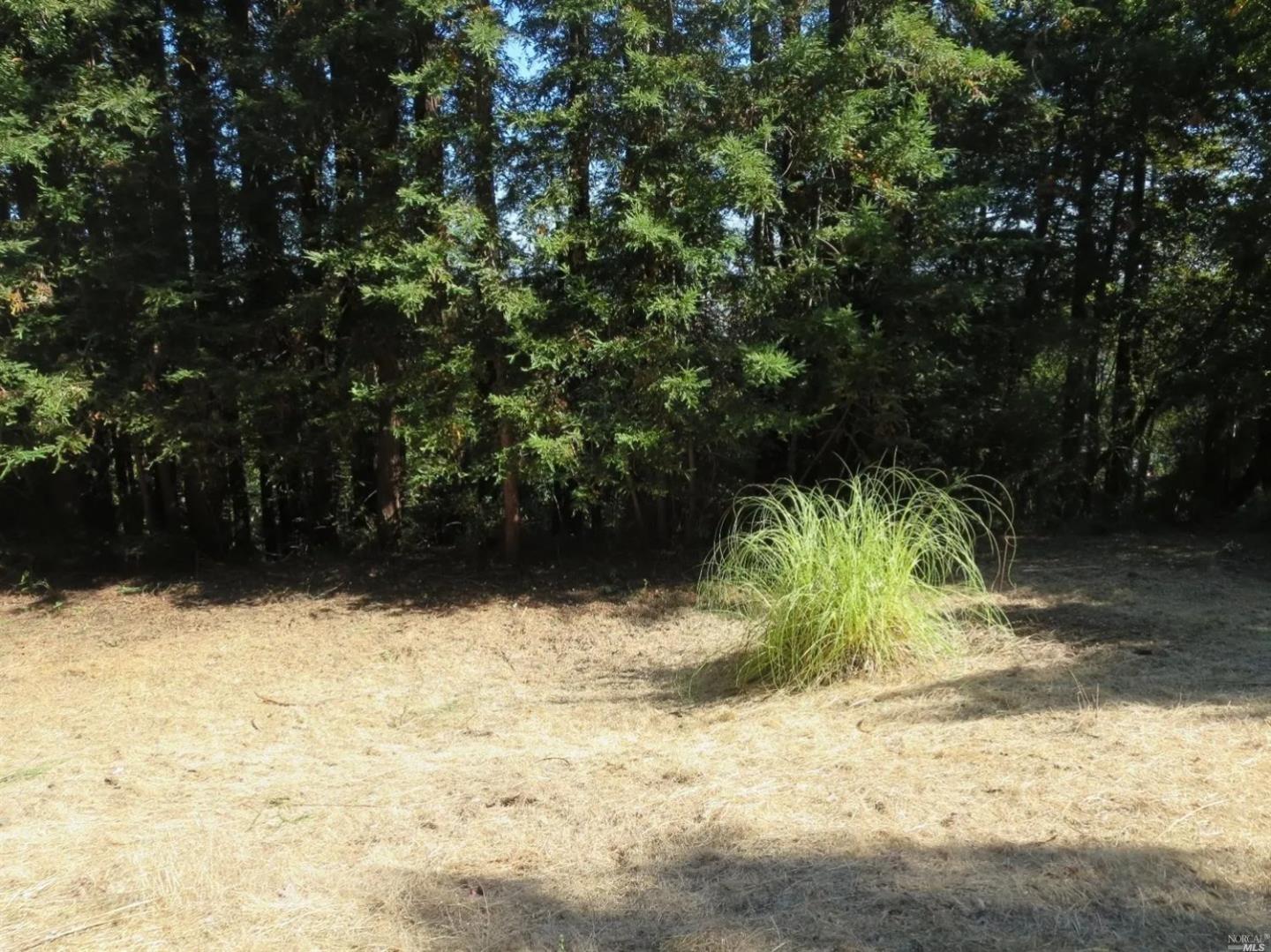 29 Red Rock Way San Rafael, CA 94903 - Photo 11 of 16 a view of a yard