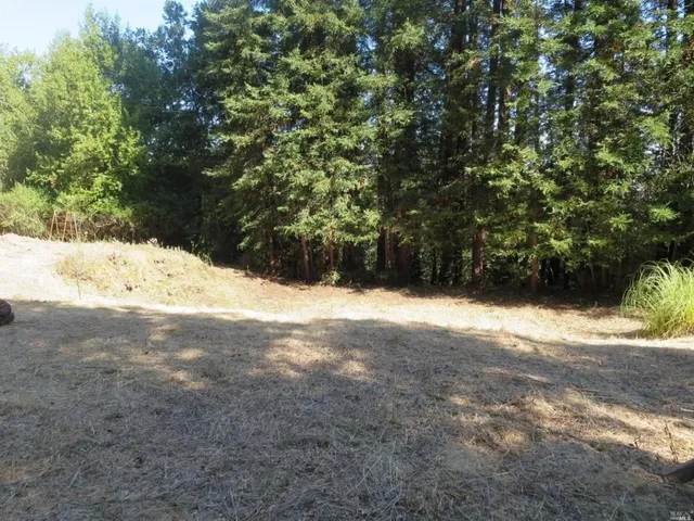 a view of a yard with a tree