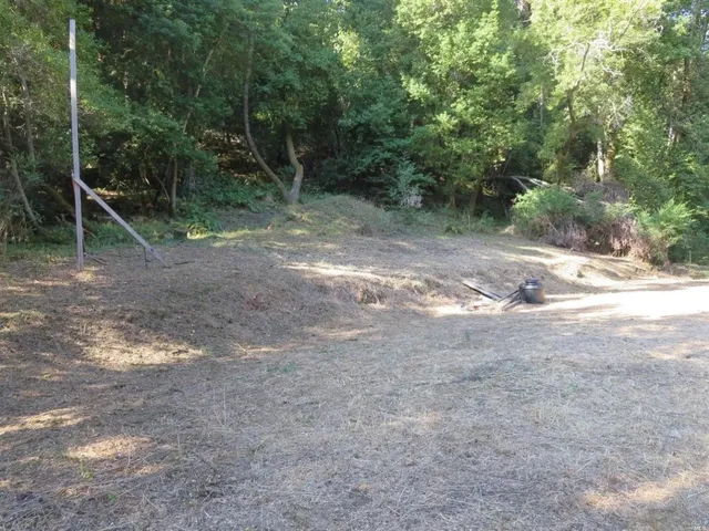 a view of a backyard with trees