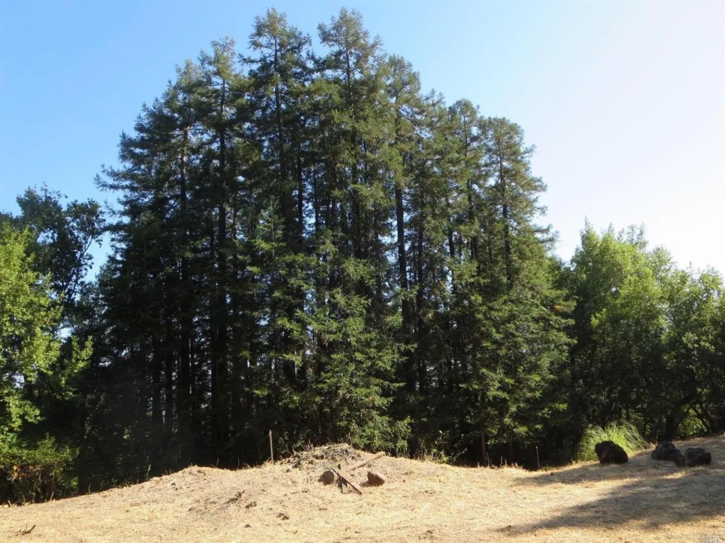 29 Red Rock Way San Rafael, CA 94903 - Photo 3 of 16 a view of a outdoor space covered with snow