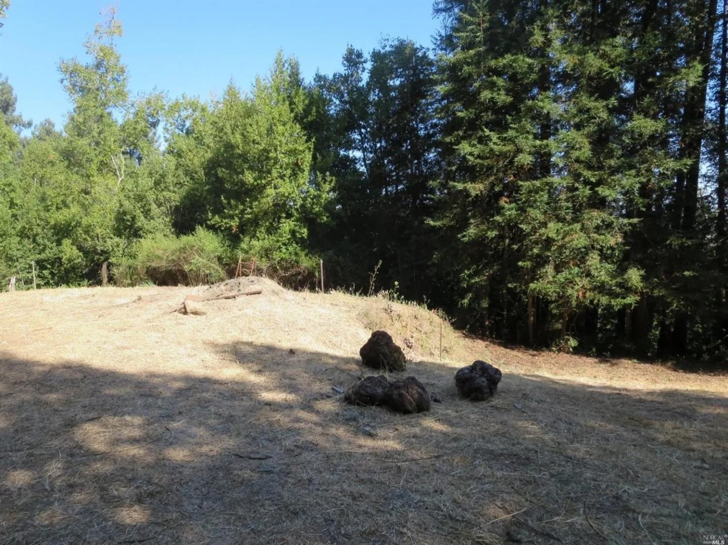29 Red Rock Way San Rafael, CA 94903 - Photo 4 of 16 a view of a snow in the middle of a yard