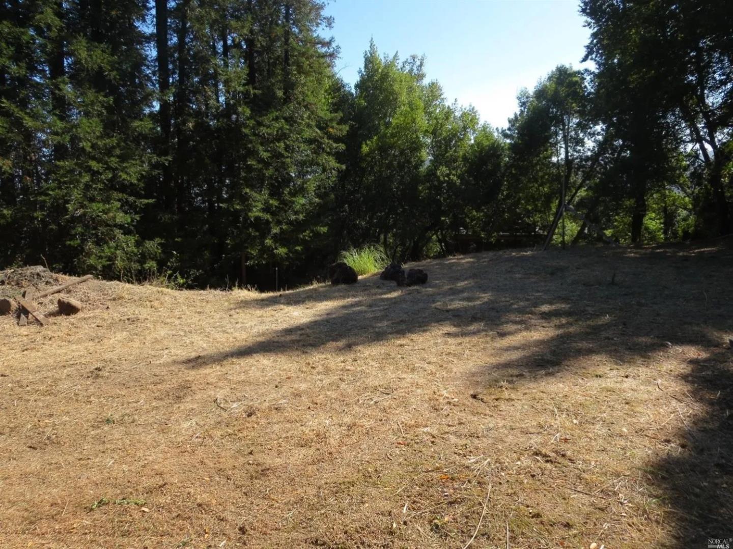 29 Red Rock Way San Rafael, CA 94903 - Photo 5 of 16