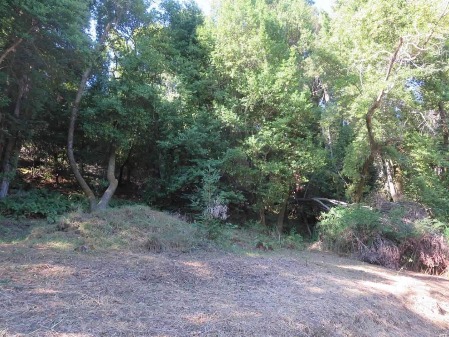 29 Red Rock Way San Rafael, CA 94903 - Photo 7 of 16 a view of a forest with trees in the background