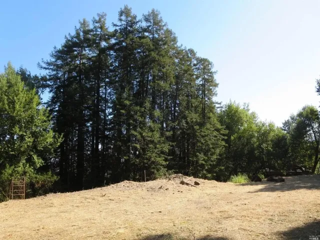 a view of a fireplace in a forest