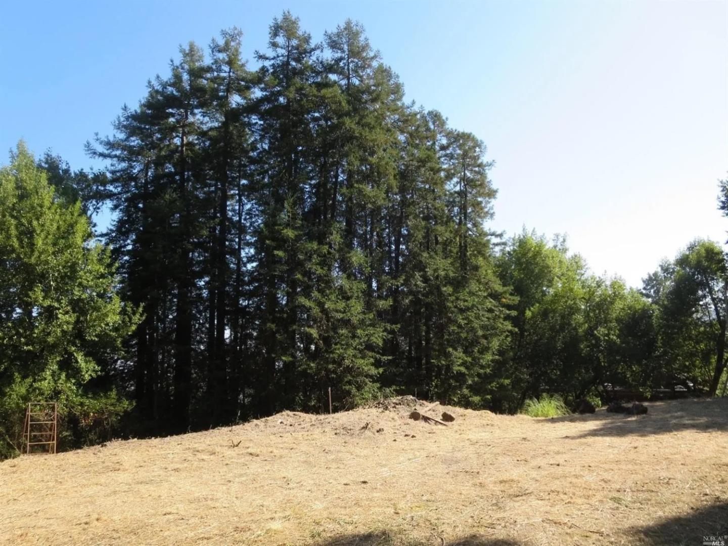 29 Red Rock Way San Rafael, CA 94903 - Photo 9 of 16 a view of a snow in the yard
