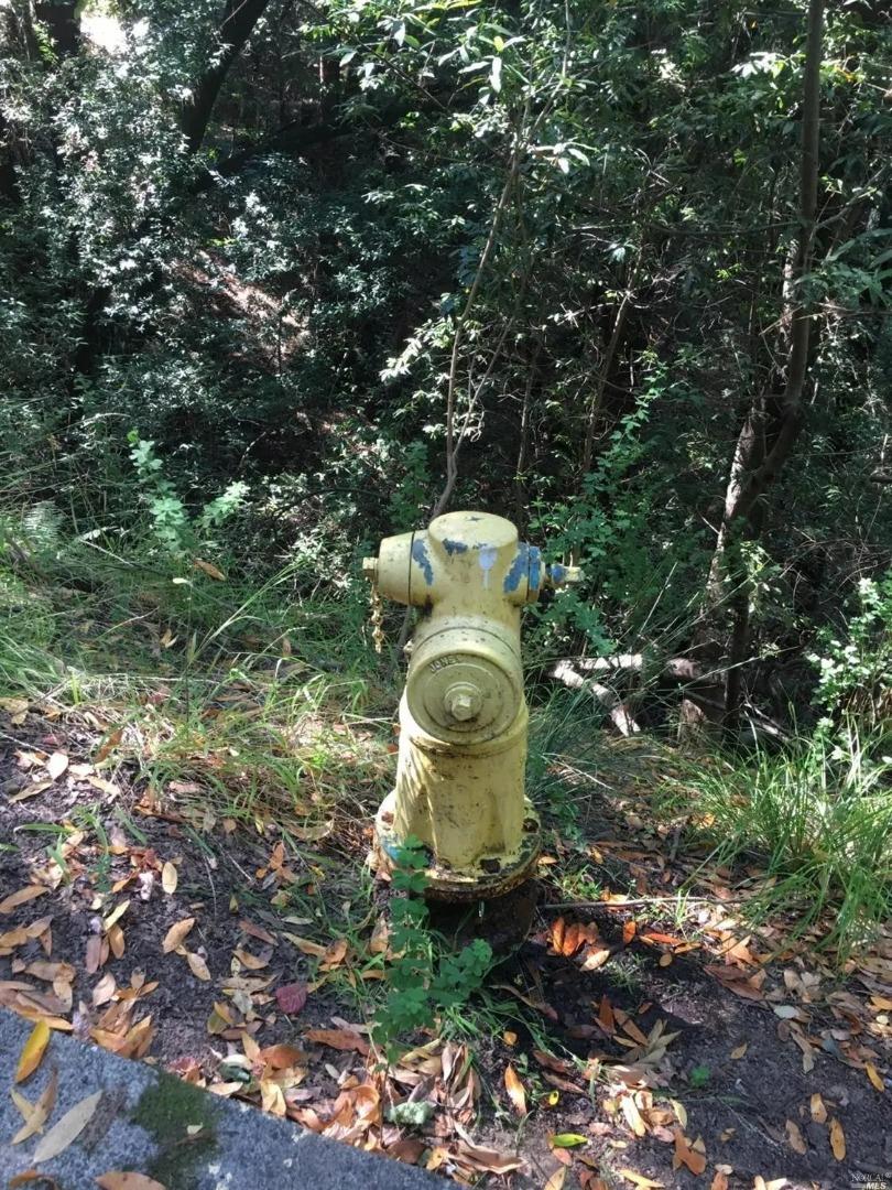 29 Red Rock Way San Rafael, CA 94903 - Photo 10 of 16 a view of a fireplace in a forest