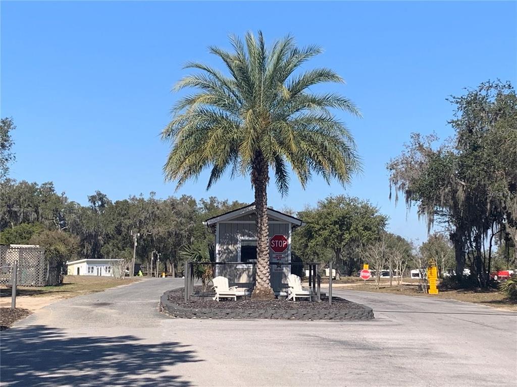 15991 Northeast 243rd Place Road, Unit 143 Fort McCoy, FL 32134 - Photo 34 of 35 a view of a palm tree with flower plants and palm trees