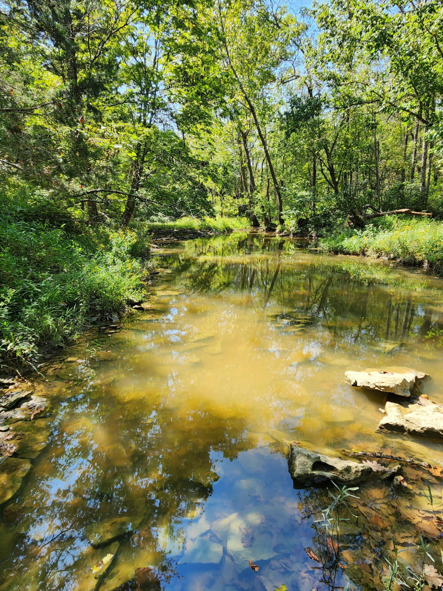 3926 Hogg Ridge Road Williamstown, KY 41097 - Photo 85 of 92 1000004556