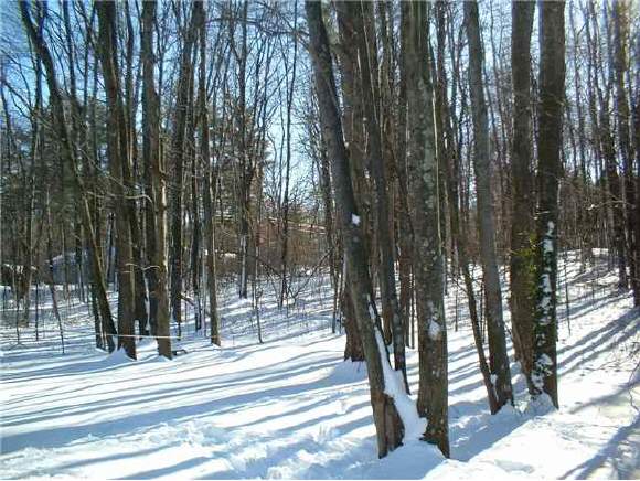 57 A Varney Road Barnstead, NH 03225 - Photo 1 of 1