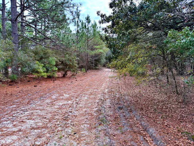 $571,480 | 2400 River Road, Greeleyville, SC 29056