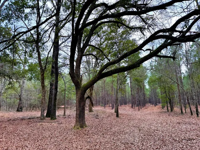 $571,480 | 2400 River Road, Greeleyville, SC 29056