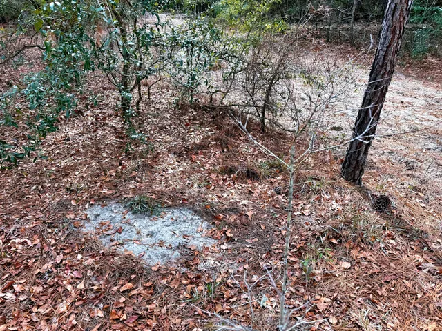 $571,480 | 2400 River Road, Greeleyville, SC 29056