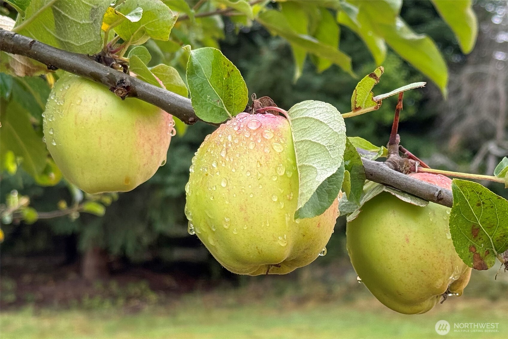 3951 South Tyler Road Port Angeles, WA 98363 - Photo 35 of 40