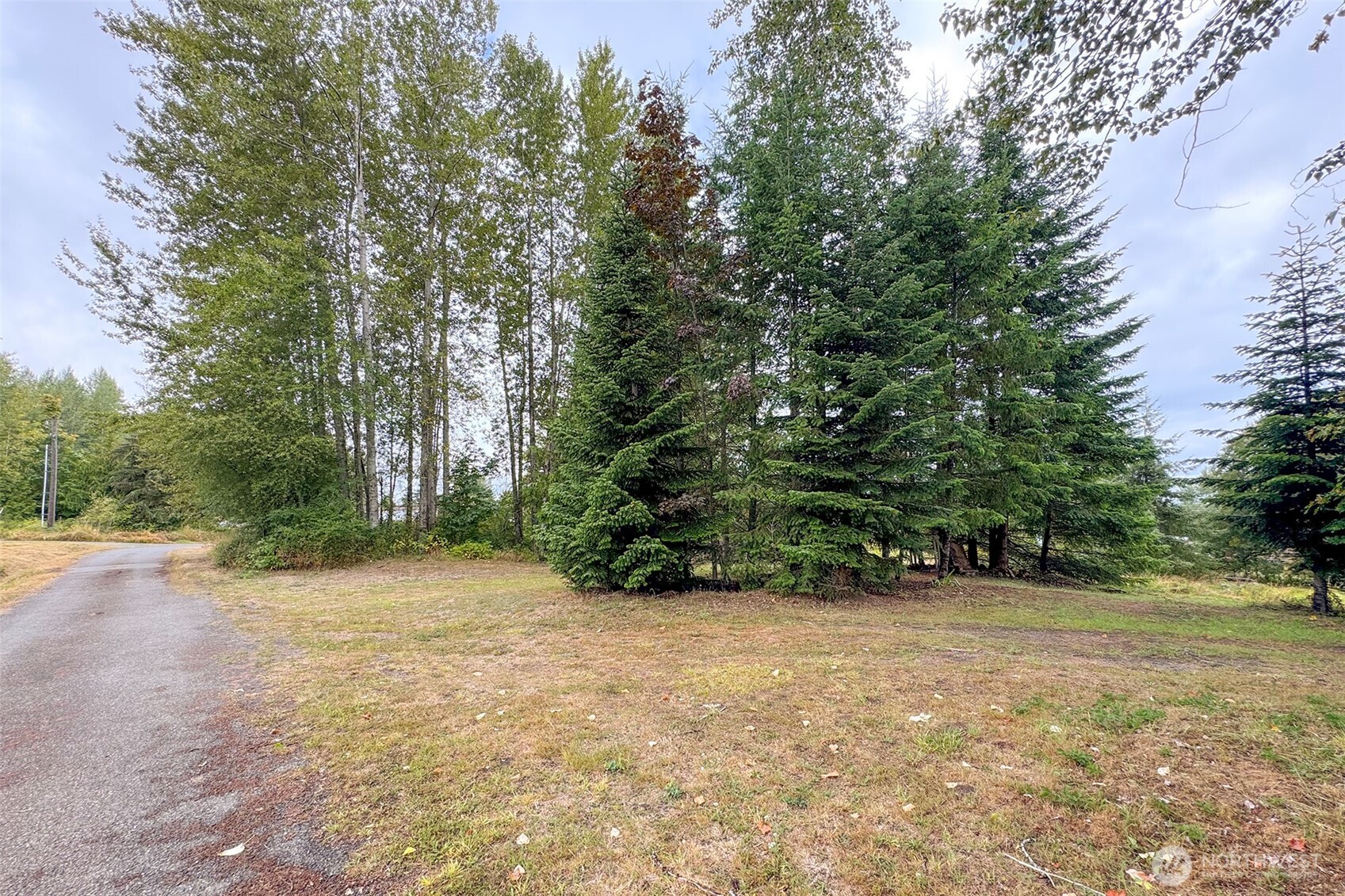 3951 South Tyler Road Port Angeles, WA 98363 - Photo 39 of 40