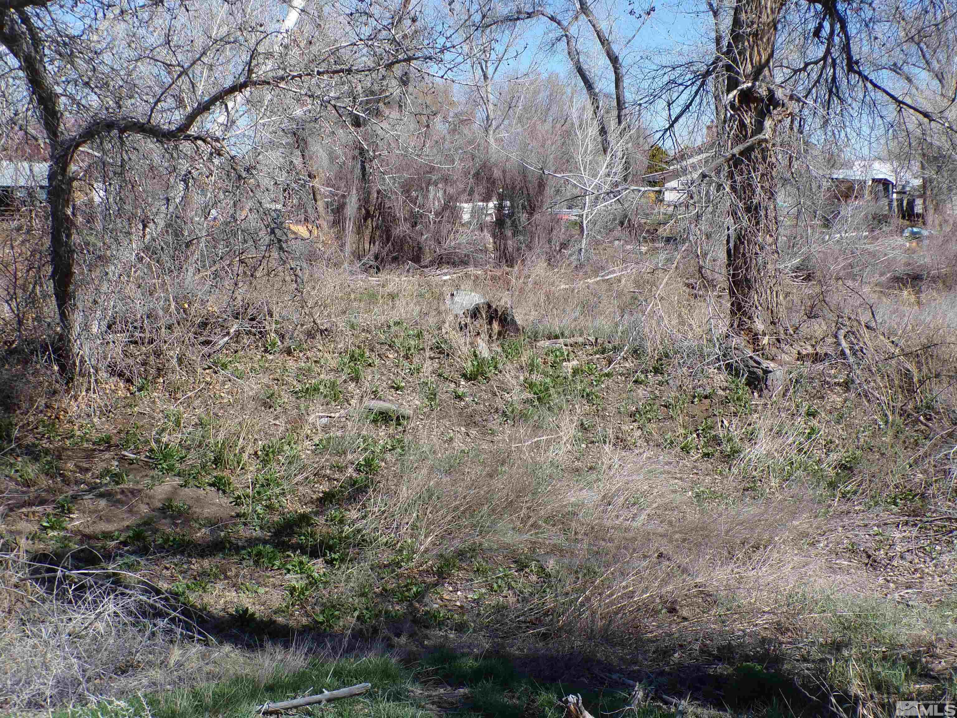 5890 Rivers Edge Drive Fallon, NV 89406 - Photo 22 of 24 a view of a dry yard with green space