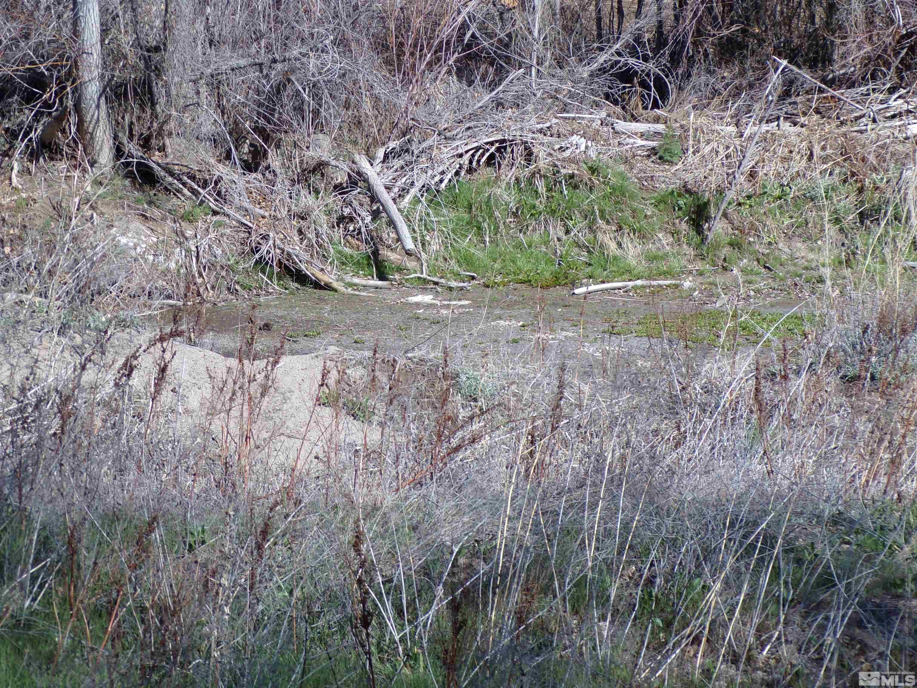 5890 Rivers Edge Drive Fallon, NV 89406 - Photo 23 of 24 a view of a yard with a tree