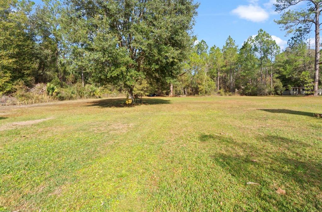 7201 Northeast 132nd Place Citra, FL 32113 - Photo 28 of 37