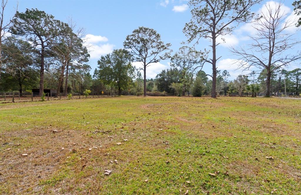 7201 Northeast 132nd Place Citra, FL 32113 - Photo 34 of 37 a view of a field with trees in the background