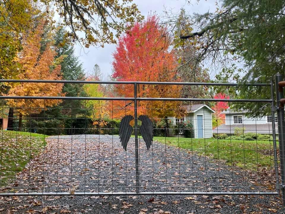916 Ferry Road Grants Pass, OR 97526 - Photo 4 of 64 Drive through the gate and welcome home. Photo cred LKD