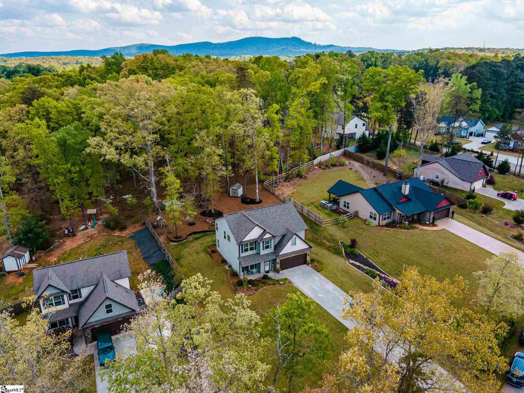 16 Smith Tractor Road Travelers Rest, SC 29690 - Photo 3 of 30