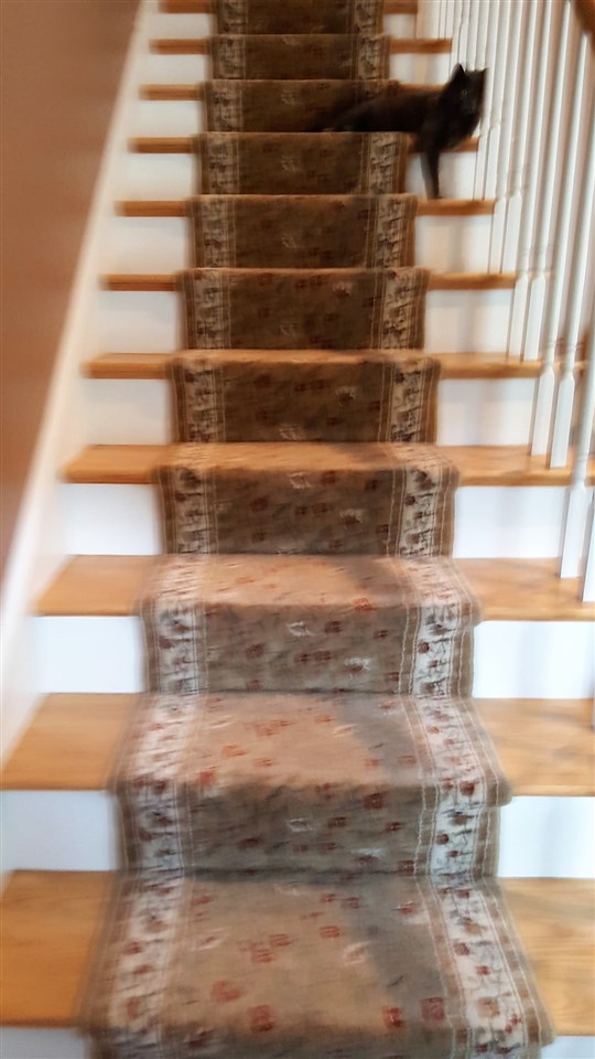 17 Bootland Farm Road Newton, NH 03858 - Photo 17 of 29 Gallery Image 17