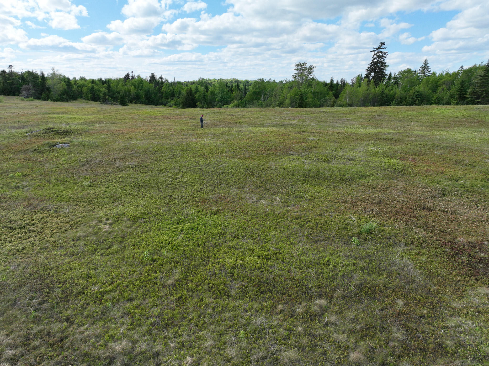 18-05 Number 9 Road Lubec, ME 04652 - Photo 34 of 43 DJI_0450