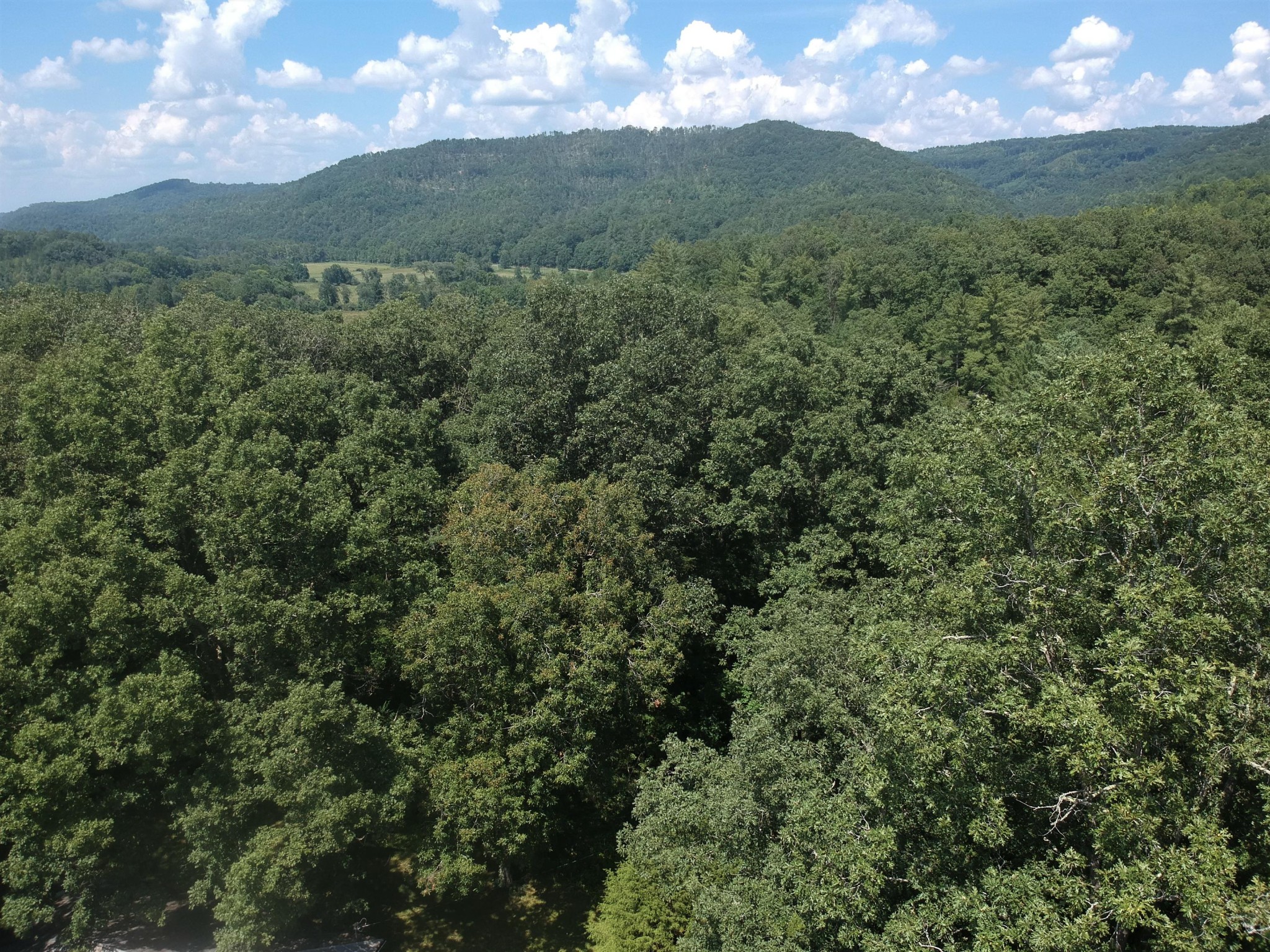 6402 Brimstone Road Robbins, TN 37852 - Photo 35 of 37 Gallery Image 35