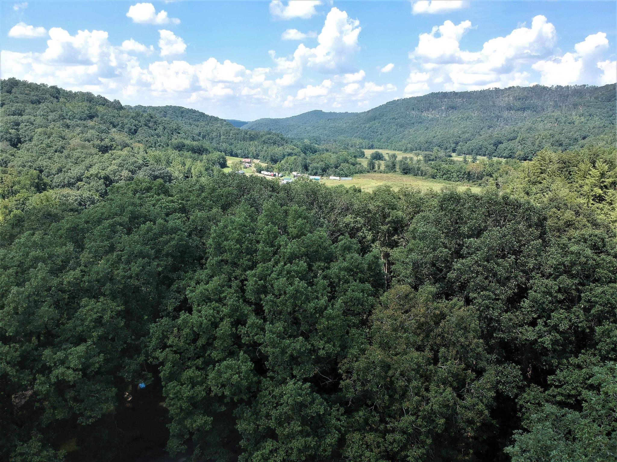 6402 Brimstone Road Robbins, TN 37852 - Photo 8 of 37 Gallery Image 8